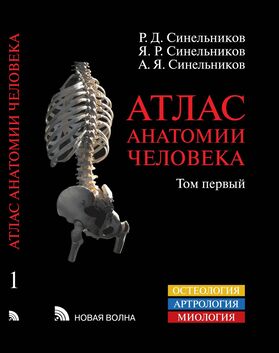 Атлас анатомии человека. В 3 т. Том 1. Учение о костях, соединениях костей и мышцах