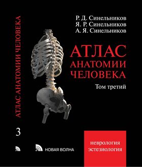 Атлас анатомии человека. В 3 т. Том 3. Нервная система и органы чувств
