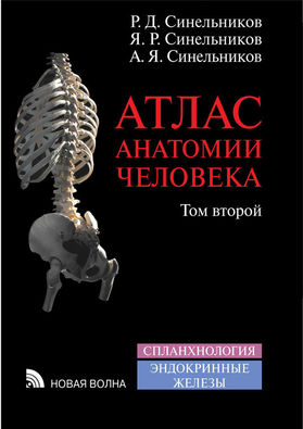 Атлас анатомии человека. В 4 т. Т. 2. Учение о внутренностях и эндокринных железах