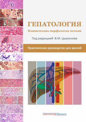 Гепатология. Клиническая морфология печени